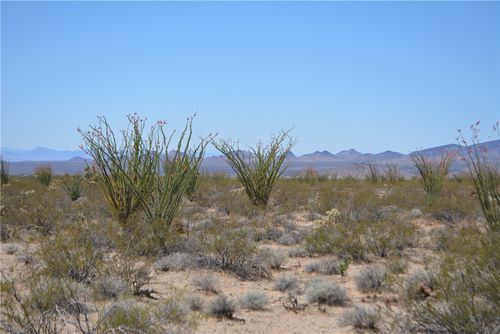 Lot 199 S Cortaro Rd, Yucca, AZ, 86438 | Card Image