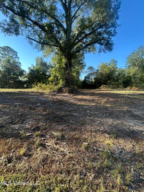 224 W Holly St, Magnolia, MS, 39652-2421 | Card Image