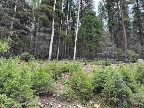Lot 141 Back Basin Rd, Angel Fire, NM, 87710-8016 | Card Image