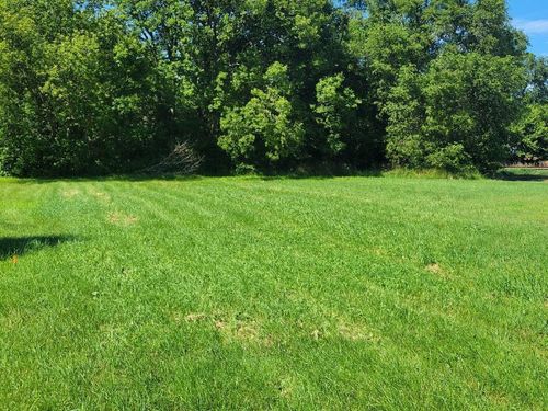 TBD Cedar St, Easton, MN, 56025 | Card Image