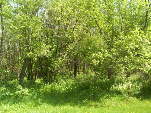 19-57 Woodland Ct, LANARK, IL, 61046-8500 | Card Image