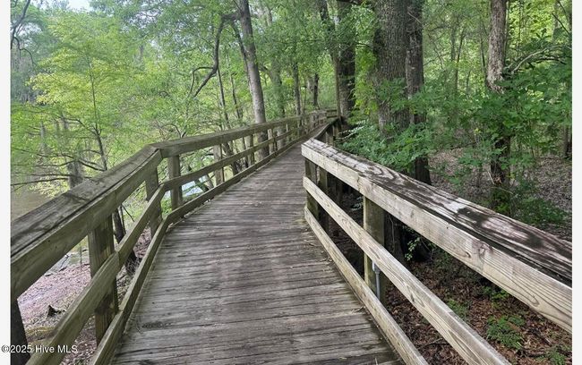 109 Conway Rd, House other with 3 bedrooms, 2 bathrooms and null parking in Fair Bluff NC | Image 72