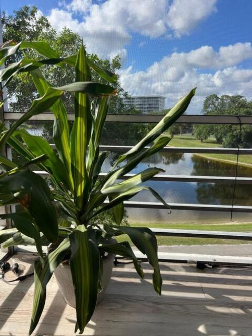 402-2751 N Palm Aire Dr, Pompano Beach, FL, 33069-3400 | Card Image