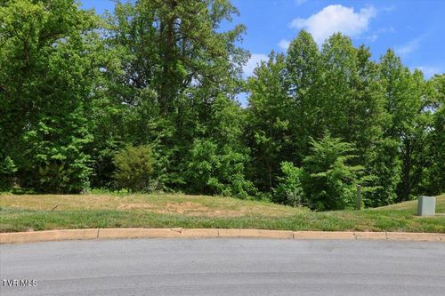 lot-33-Lot 33 English Ivy Trail, Jonesborough, TN, 37659 | Card Image