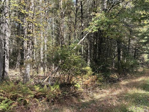 lot-17-17 Desmond Xing, White Lake, NY, 12786 | Card Image