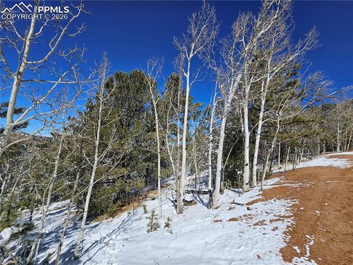 829 Princess Road, Cripple Creek, CO, 80813 | Card Image