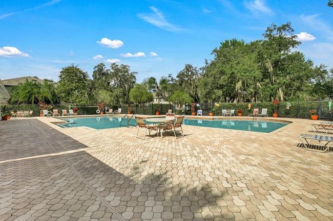 15867 Fishhawk View Dr, Townhouse with 2 bedrooms, 3 bathrooms and null parking in LITHIA FL | Image 21