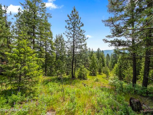 685 Blanchard Elk Rd, Blanchard, ID, 83804-7026 | Card Image