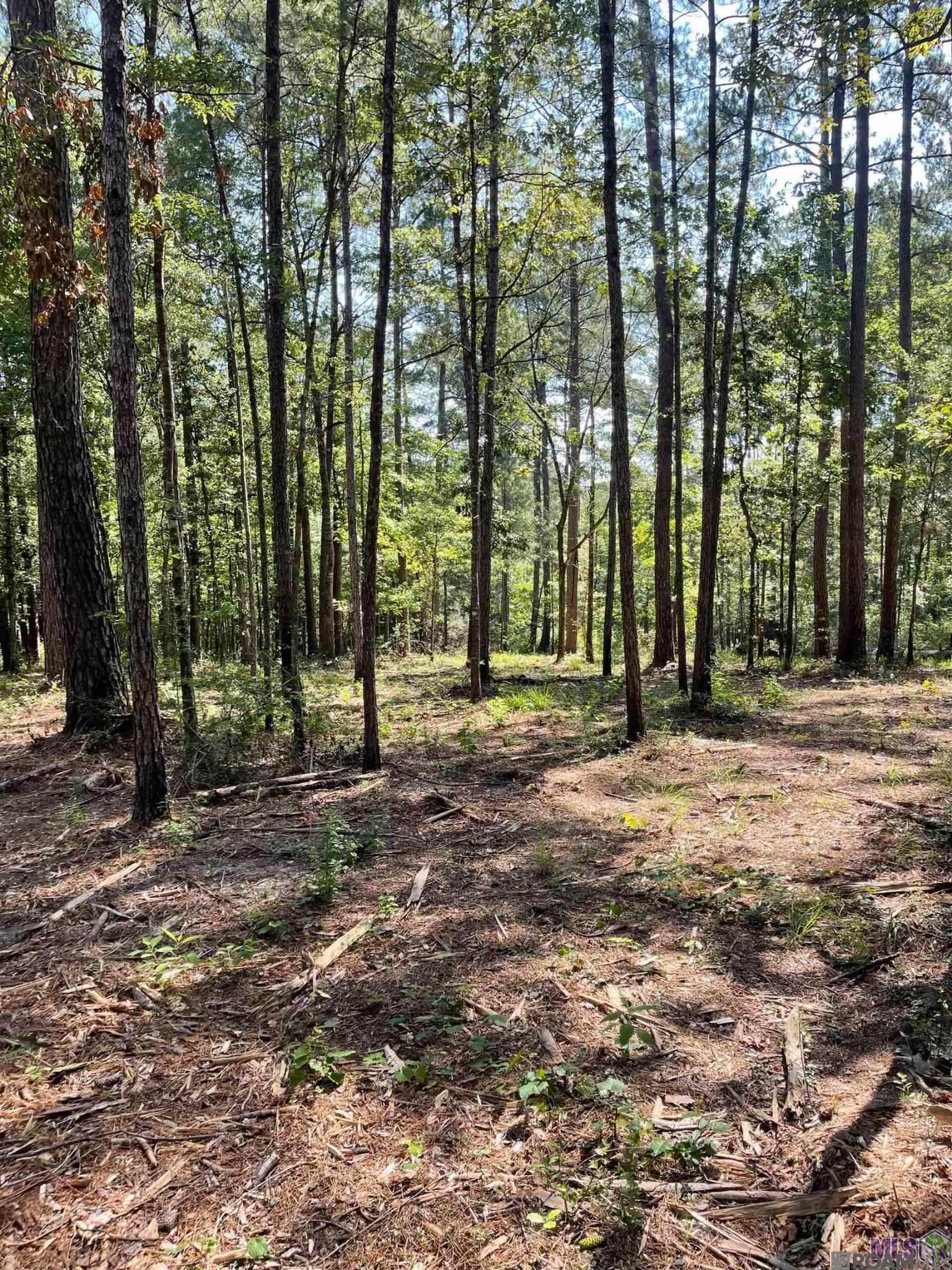 Land in Clinton 2