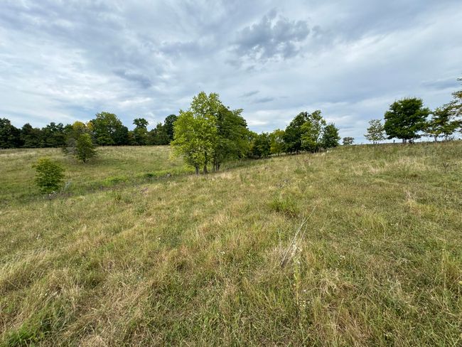 2076 Bald Hill Rd, Home with 5 bedrooms, 1 bathrooms and null parking in Hillsboro KY | Image 26