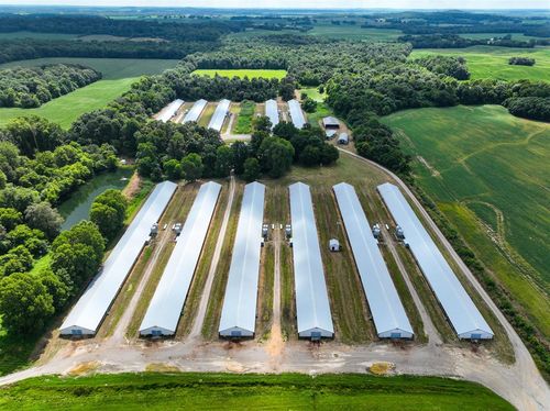 1432 State Route 797, Calhoun, KY, 42327-9541 | Card Image