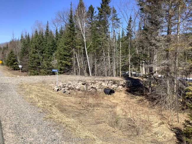 20833 Highway 118, Home with 0 bedrooms, 0 bathrooms and null parking in Wilberforce ON | Image 5