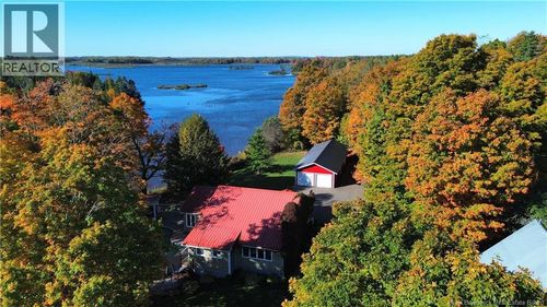 {{alt}} | Card Image