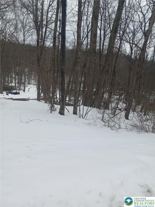 88 Bear Cub Path Trail, Pocono Twp, PA, 18355 | Card Image