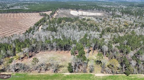 21.8 Acres Flournoy Rd, Lucedale, MS, 39452 | Card Image