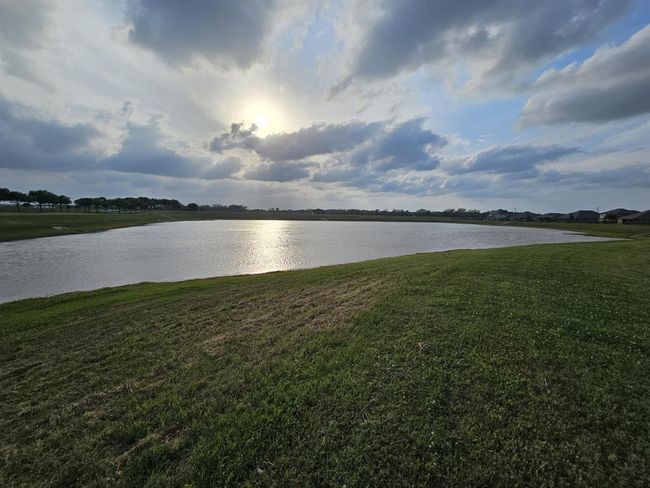 Pond | Image 40