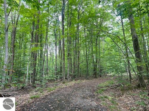 Lot 44 Hauschen Ln, Bellaire, MI, 49615 | Card Image