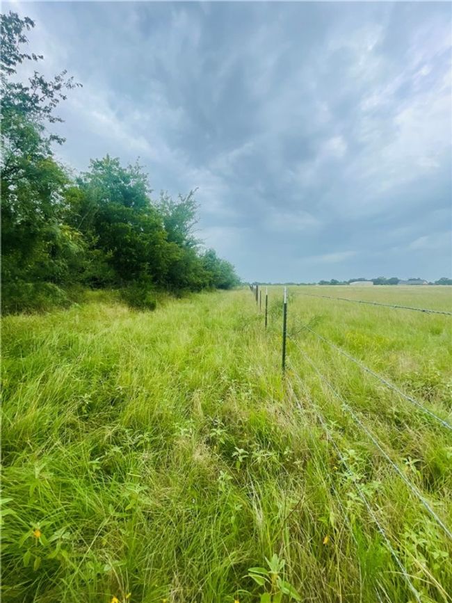 8409 S Hickory Loop, Home with 0 bedrooms, 0 bathrooms and null parking in Calvert TX | Image 10