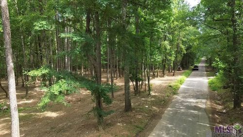 Tract X-1 Scott Barr Rd, Slaughter, LA, 70777 | Card Image