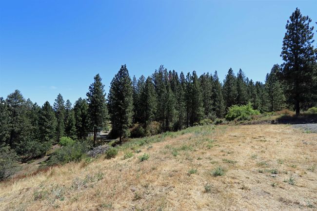 View of nature | Image 39