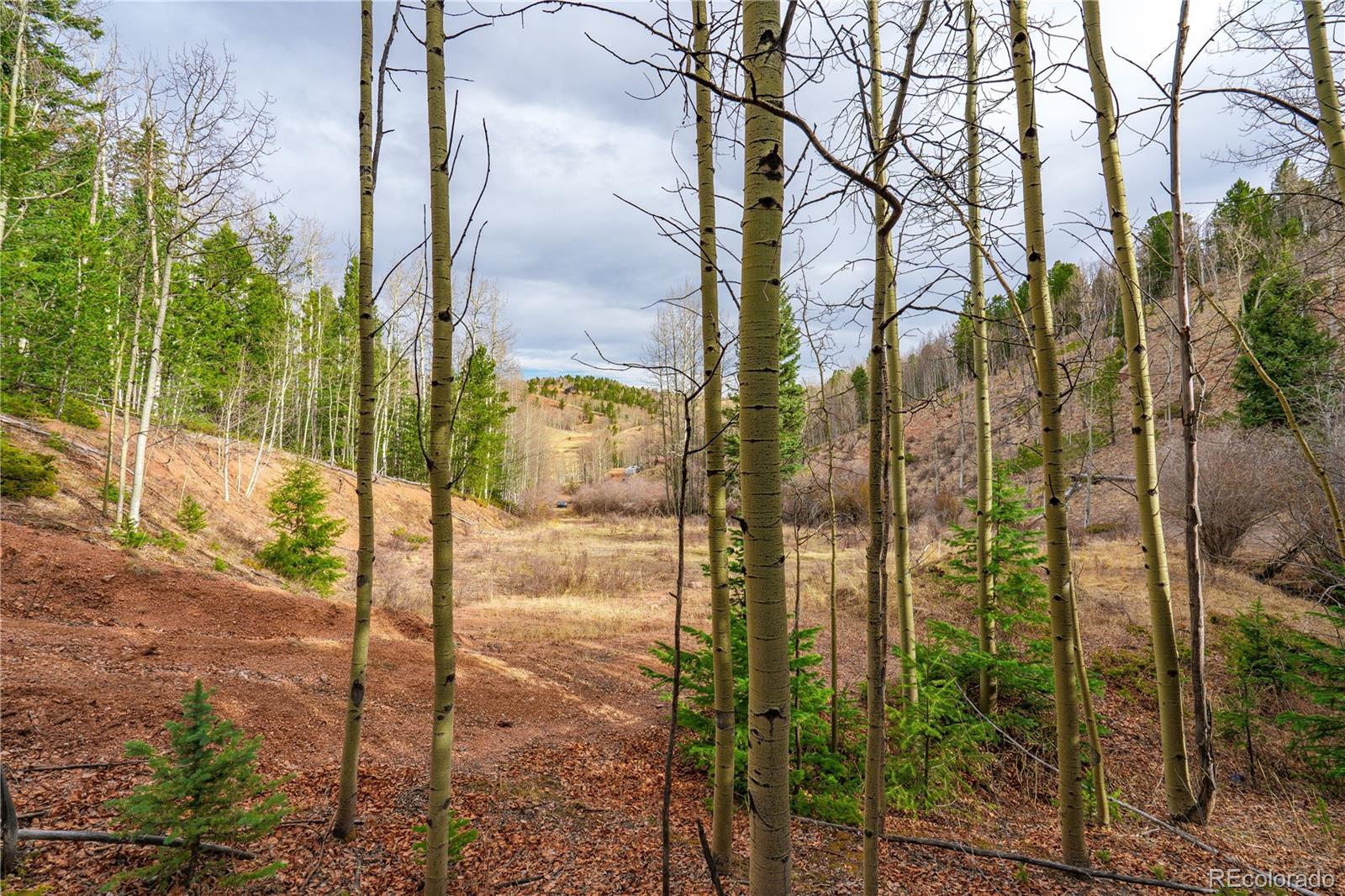 Land in Cripple Creek 5
