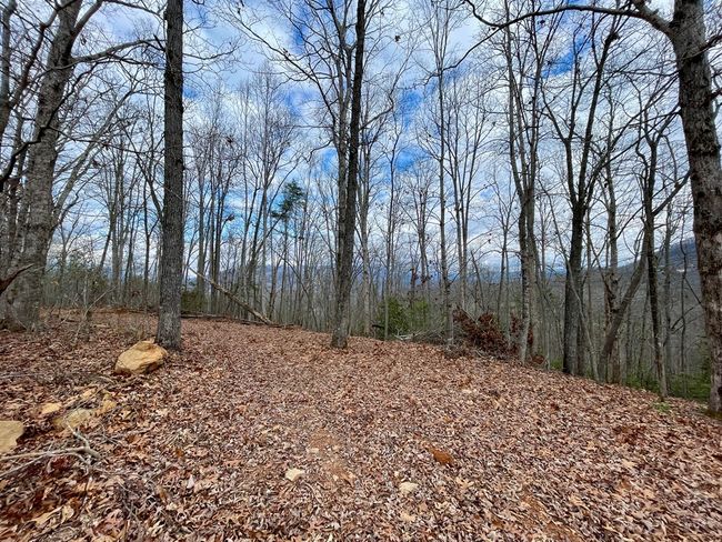 #114 Eagles Vw, Home with 0 bedrooms, 0 bathrooms and null parking in Hayesville NC | Image 5