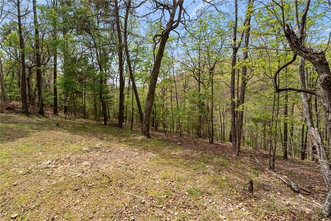 15957 Hickory Dr, House other with 4 bedrooms, 3 bathrooms and null parking in Rogers AR | Image 20