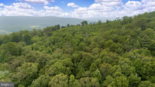 262 Vonada Gap Rd, House other with 3 bedrooms, 1 bathrooms and null parking in SPRING MILLS PA | Image 22