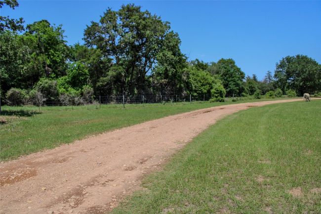 1197 Private Road 2071, Home with 4 bedrooms, 3 bathrooms and null parking in Giddings TX | Image 19