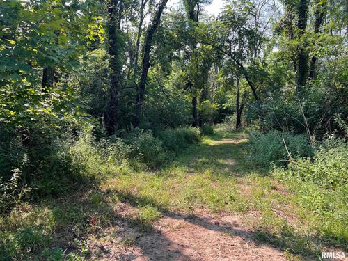 RR N 1800 Road, Blandinsville, IL, 61420 | Card Image