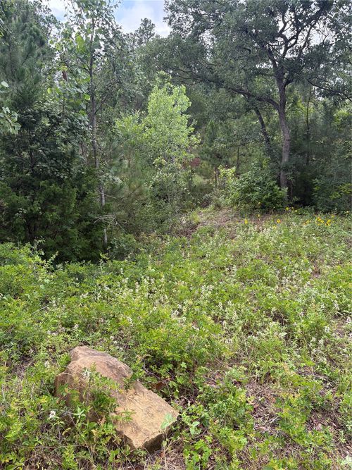 TBD Kaena Lane, Bastrop, TX, 78602 | Card Image