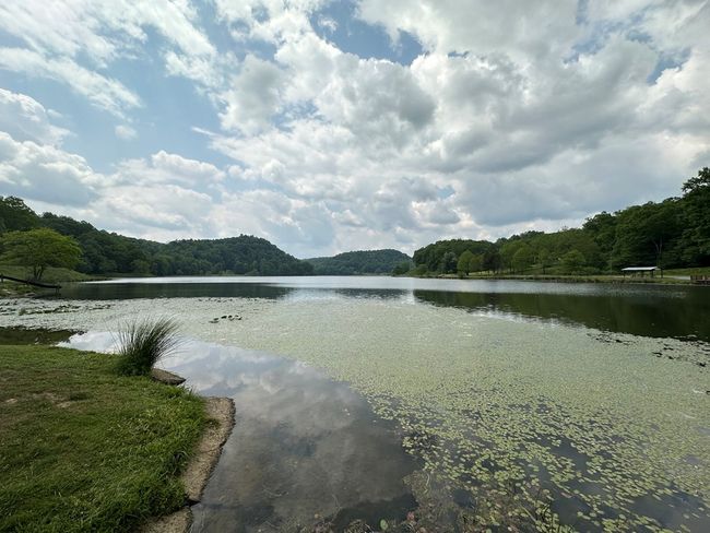 14224 Mud Fork Road, Home with 0 bedrooms, 0 bathrooms and null parking in Falls Mills VA | Image 20