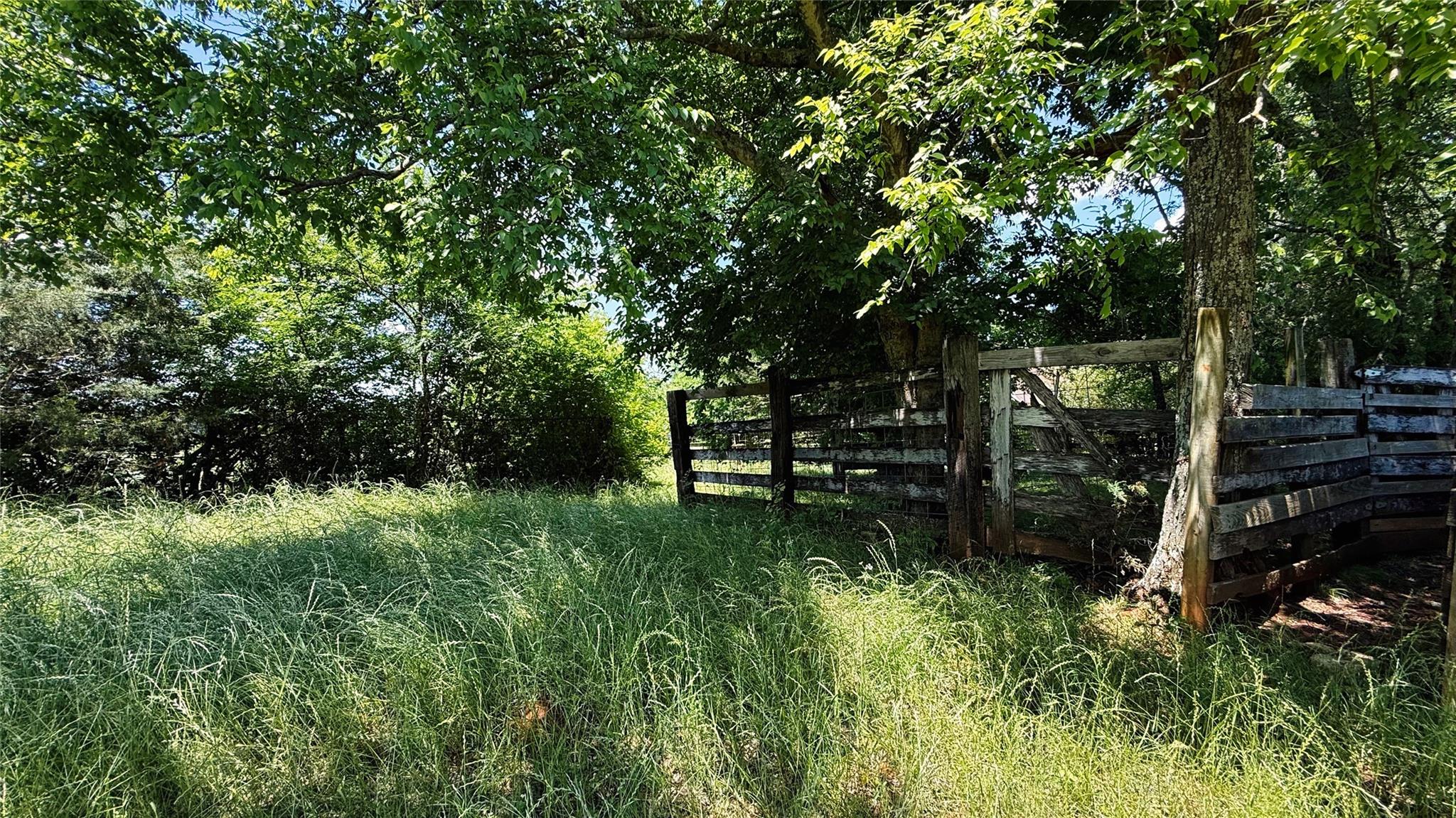 Land in Henderson 4
