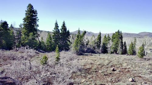216 W Maple Cir, Kolob, UT, 84767 | Card Image