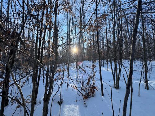 80 acres Galbrith Road, Mio, MI, 48647 | Card Image