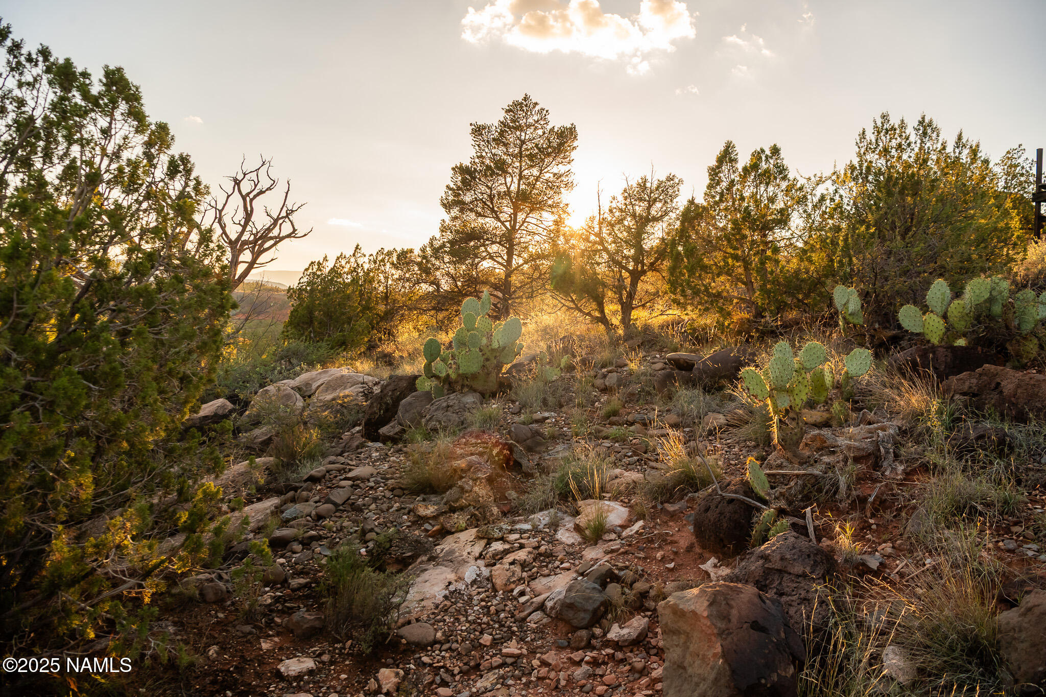 Land in Sedona 3