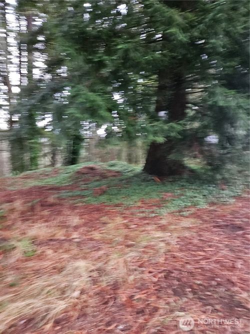 323 Ne Barbara Blvd, Belfair, WA, 98528-9464 | Card Image