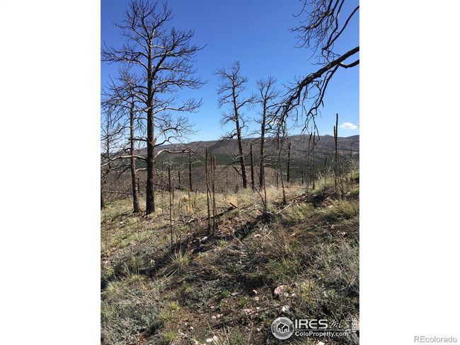 3600 Moondance Way, Home with 0 bedrooms, 0 bathrooms and null parking in Bellvue CO | Image 20