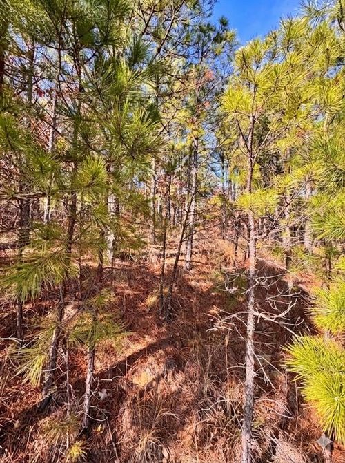 2388 Sw 234 Rd, Tuskahoma, OK, 74574-1316 | Card Image