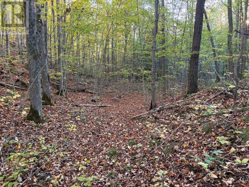 PT LT Naphan Rd, Roslin, ON, K0K2Y0 | Card Image