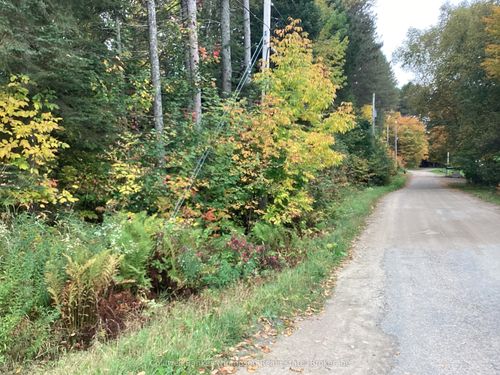 4 Snowshoe Lane, Katrine, ON, P0A1L0 | Card Image