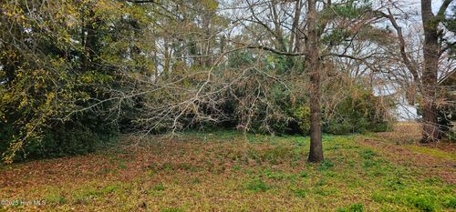 12-207 E South St, Rose Hill, NC, 28458-8819 | Card Image