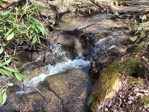 Lot 44A Synacia Dr, Mineral Bluff, GA, 30559 | Card Image