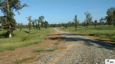 239 N Leo Lane, Home with 0 bedrooms, 0 bathrooms and null parking in Monroe LA | Image 2