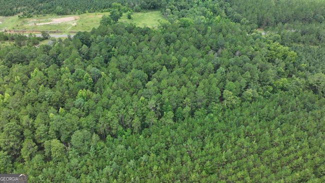 0 Boiling Springs Rd, Home with 0 bedrooms, 0 bathrooms and null parking in Soperton GA | Image 11