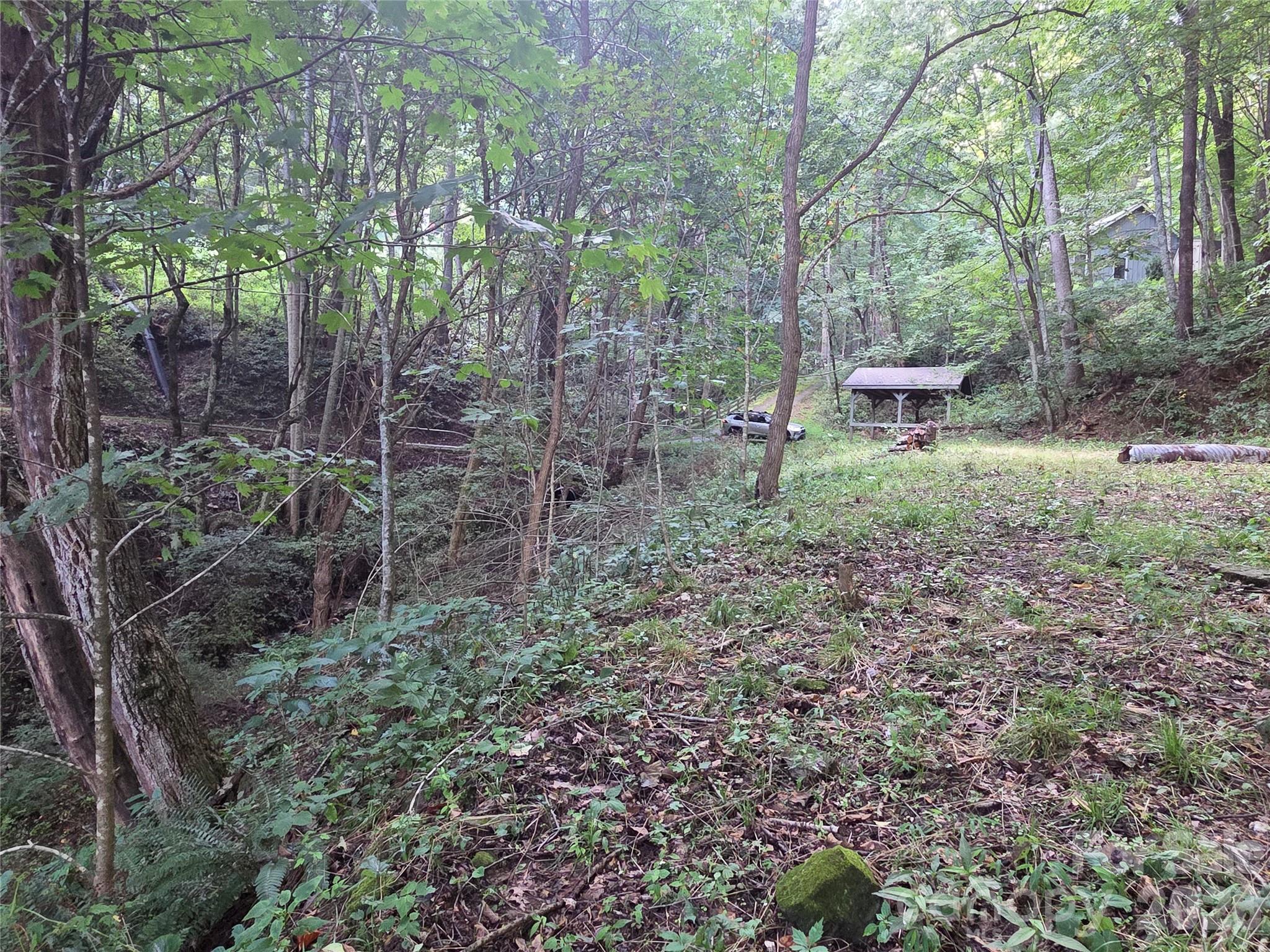 Land in Maggie Valley 3