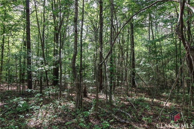 1040 Bridlegate Dr, Home with 0 bedrooms, 0 bathrooms and null parking in Watkinsville GA | Image 8