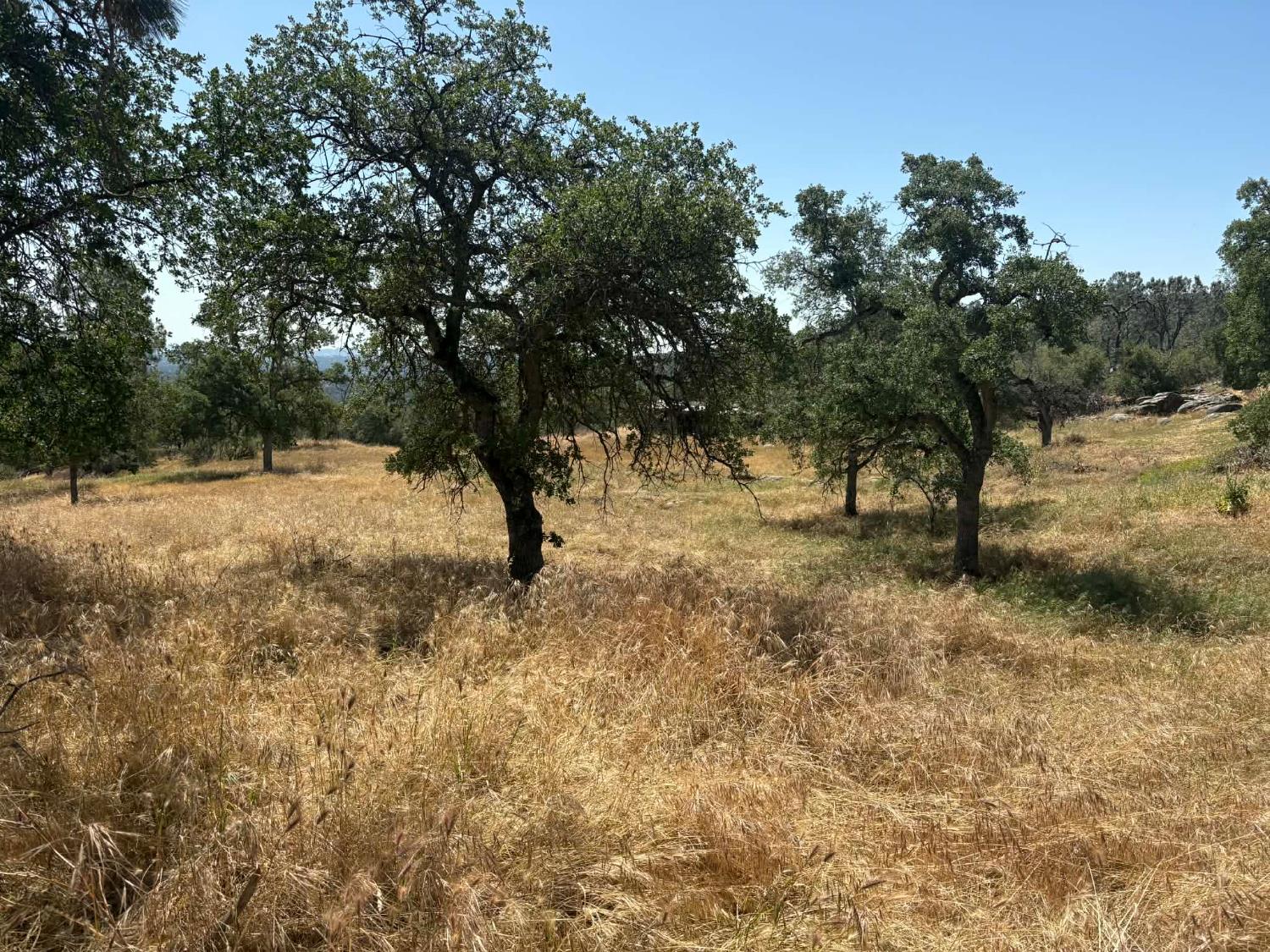 Land in Coarsegold 3