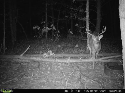 Lot 1 Highway 13, PRESTON, WI, 53934 | Card Image