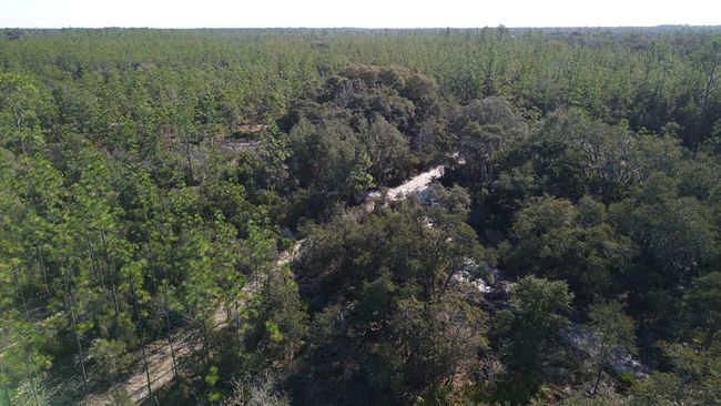 12500 Ne 87 Th Pl, Home with 0 bedrooms, 0 bathrooms and null parking in BRONSON FL | Image 5